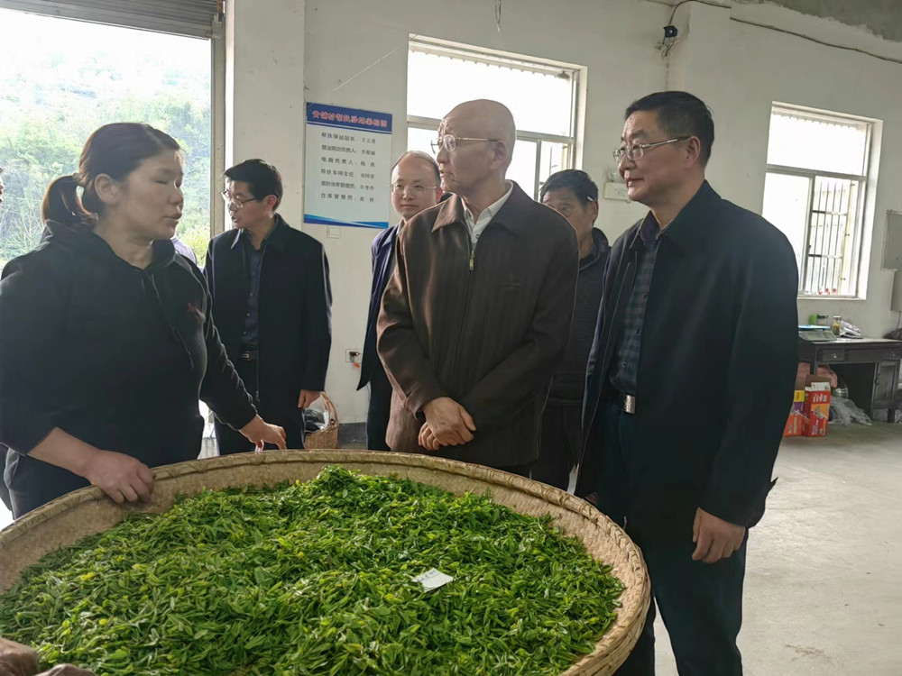 微信图片_20230413142218.jpg