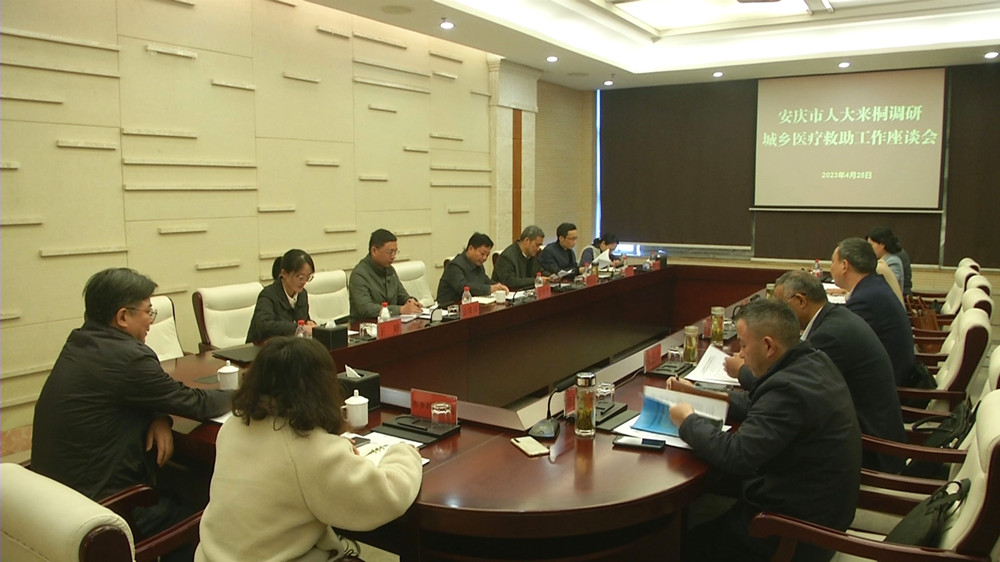 安庆市人大到桐调研医疗救助工作_副本.jpg