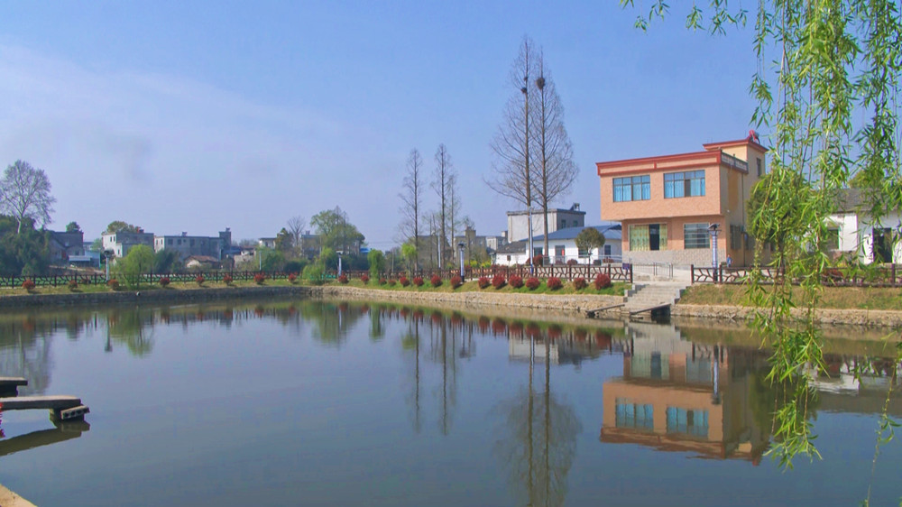 新安渡村曹畈村民组.jpg