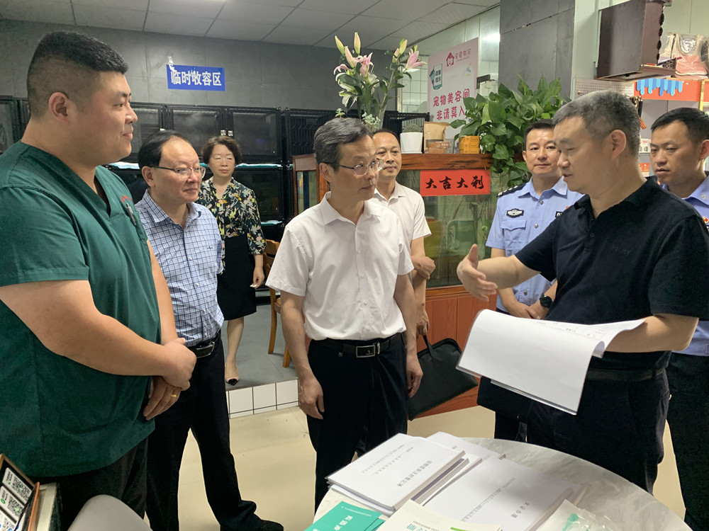 安庆市人大来桐督导检查养犬管理工作1.jpg