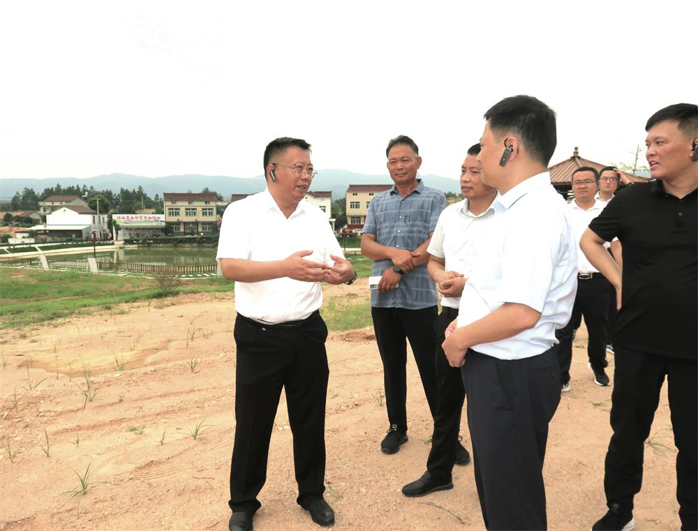 16青草镇复兴村黄冲组人居环境整治点.jpg