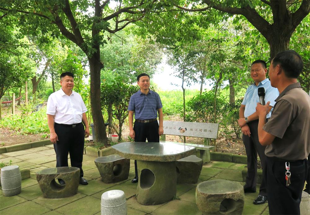 4滁州市明光市苏巷镇戴巷村陆郢组.jpg