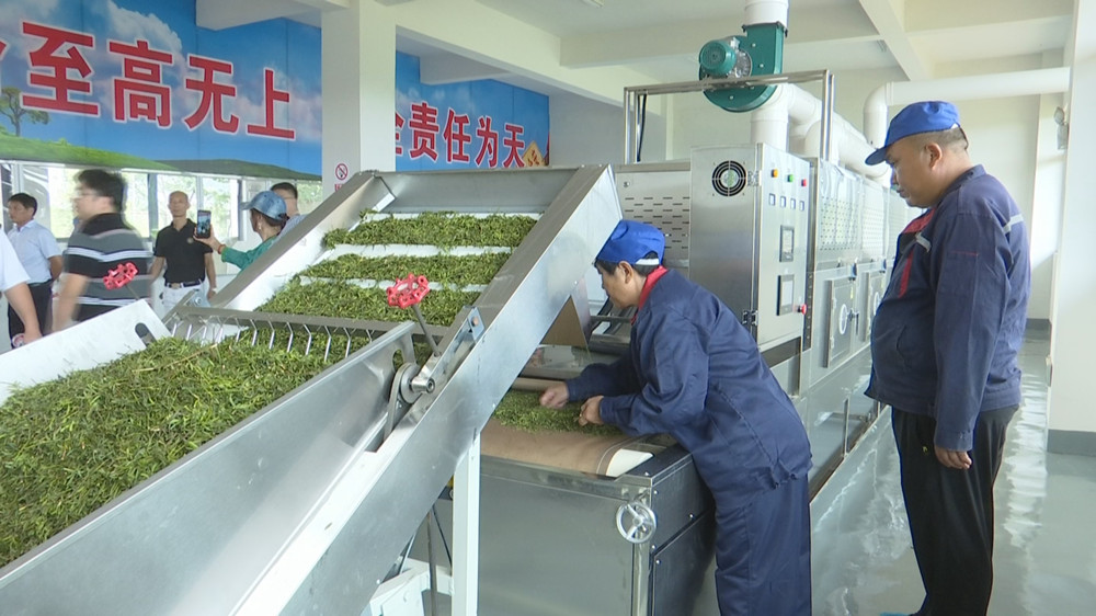 红豆.jpg