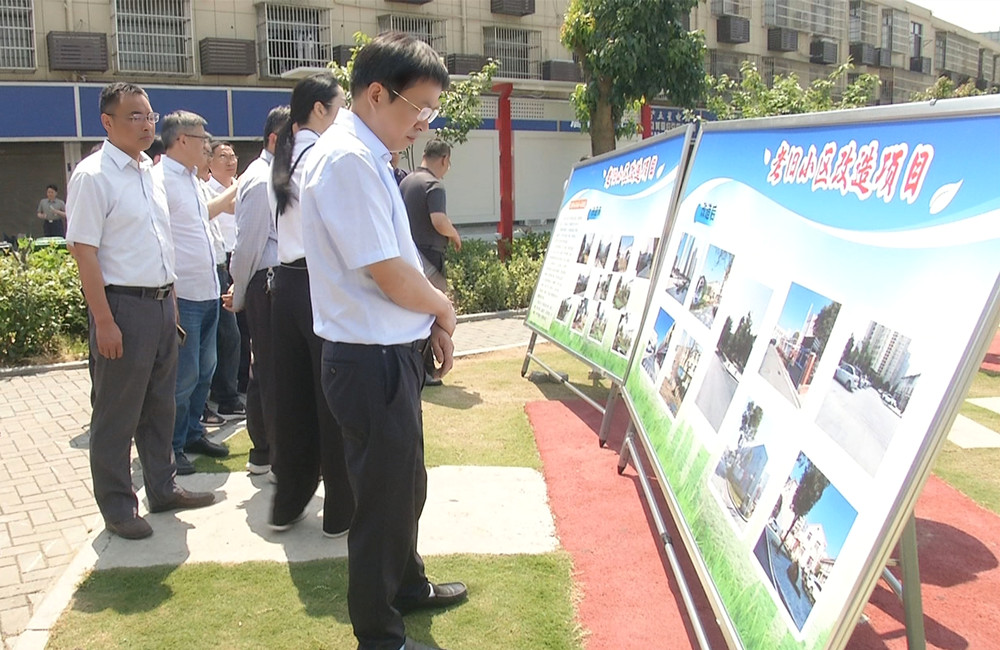 全市推进县城规划建设治理交流现场会在桐召开5.jpg