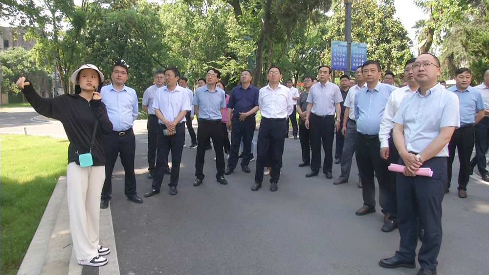 全市推进县城规划建设治理交流现场会在桐召开4.jpg
