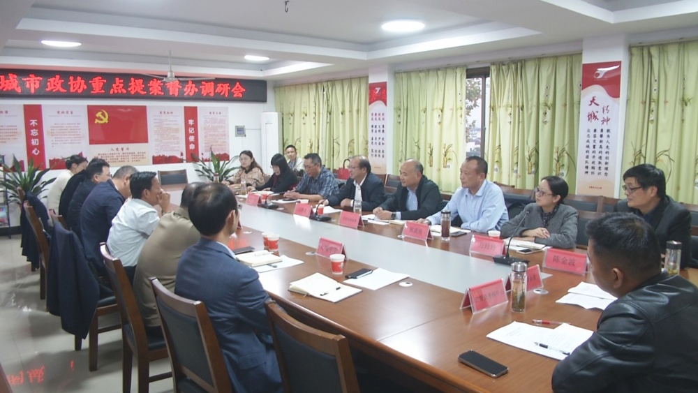 政协调研提案座谈会.jpg
