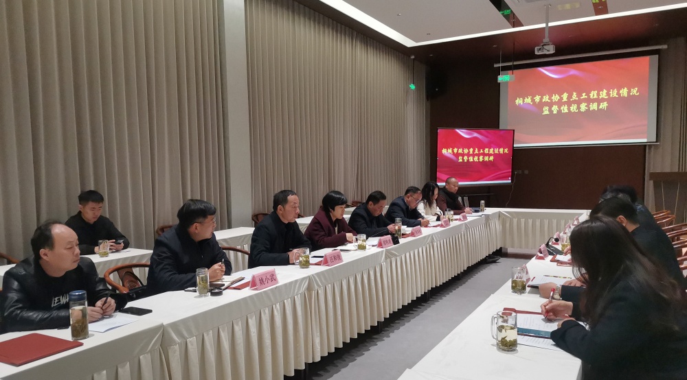 政协调研重点工程.jpg
