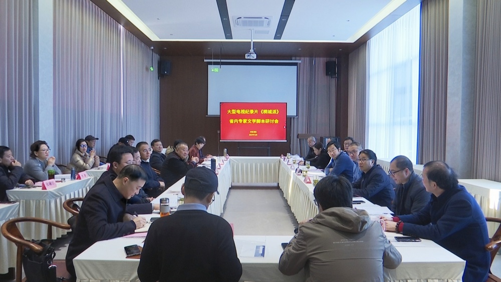 大型电视纪录片《桐城派》省内专家文学脚本研讨会召开.jpg