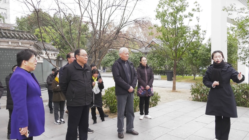 图为调研组在桐城六尺巷调研。.jpg