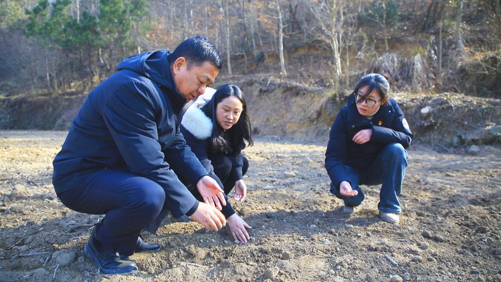 图为青草镇铜锣村党总支副书记郑小玉（右一）正带着村委成员在勘察图斑整改情况.jpg