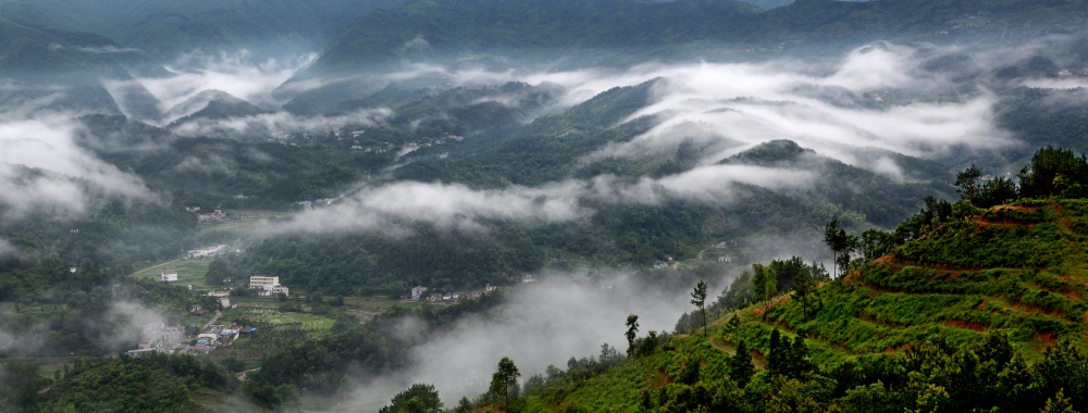 龙眠山——何传伟.jpg