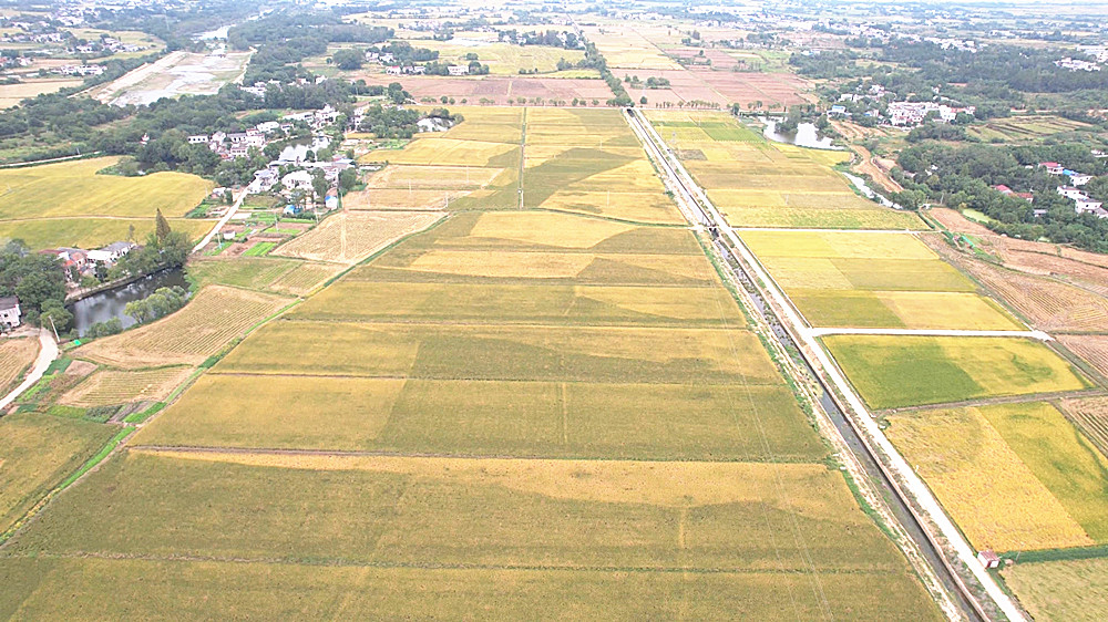 /uploads/image/2025/10/14/0b20416b57bb4832a083f72645291a97.jpg 城乡融合 (1)_副本.jpg