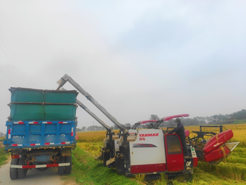 /uploads/image/2025/10/15/61292a711e00b27a93bf55c60358085e.jpg d161a7692a9a85816549e5a1c4dfba15 (1)_副本_副本.jpg