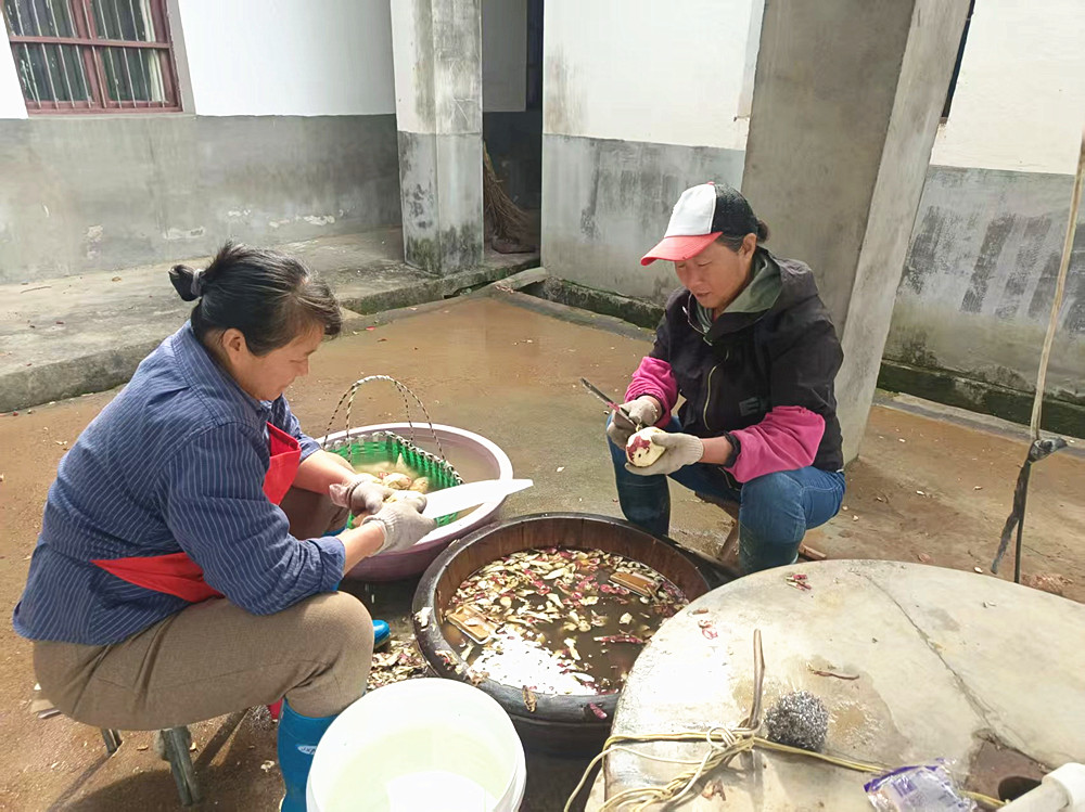 /uploads/image/2025/11/04/2e289915ccd20d9dc592fa931bd91496.jpg 微信图片_20251104102523_422_83_副本.jpg