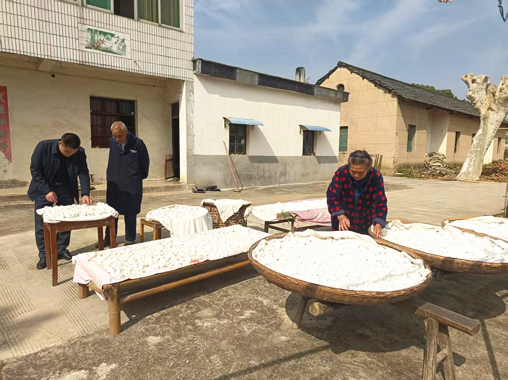 /uploads/image/2025/11/04/7ac6476fb43e1e4b56f5f539db21b93d.jpg 微信图片_20251104102530_423_83_副本.jpg