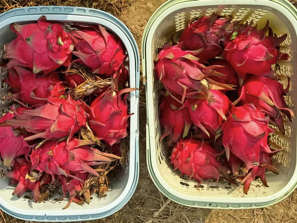 /uploads/image/2025/11/12/48f848355a01f075f607d39d53ddcf4f.jpg 图片2_副本.jpg