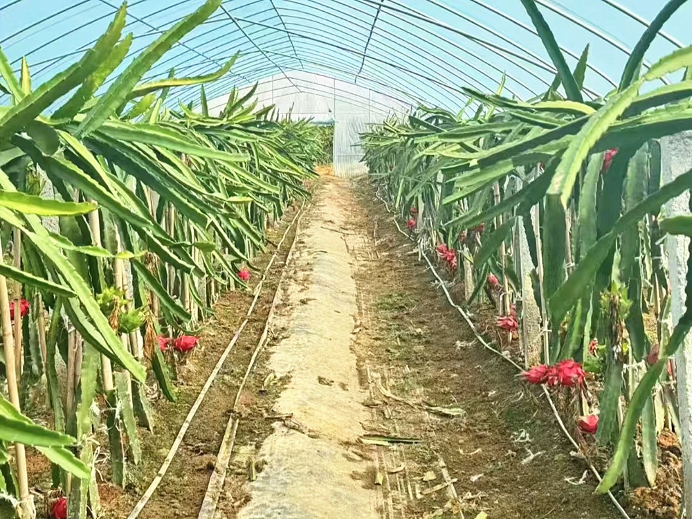 /uploads/image/2025/11/12/56163c7a70591c5b87b05adfc96de9e8.jpg 图片1_副本.jpg