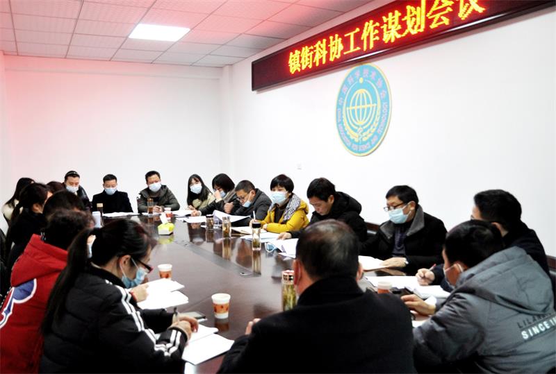 桐城市科协召开2021年镇（街道）科协工作谋划会01.JPG