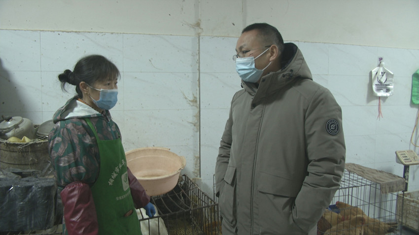 家禽菜市场畜牧管理中心负责人询问相关情况.jpg