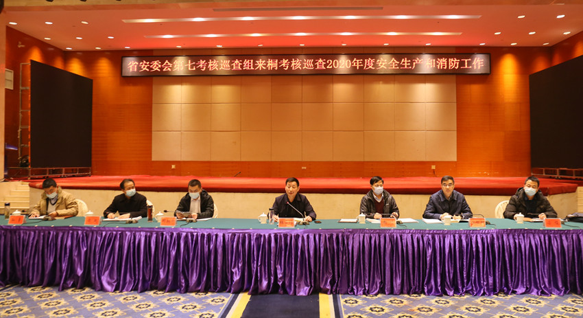 省安委会来桐3.JPG