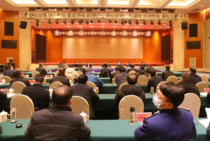 省安委会来桐2.JPG