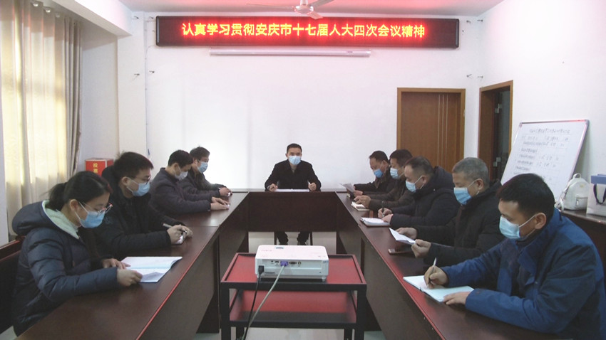 代表委员回基层传达安庆两会精神（张柳洲）.jpg