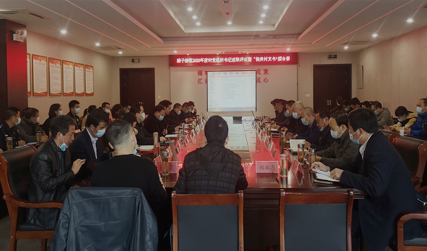 嬉子湖镇2020年度村党组织书记述职评议会暨“皖美村支书”擂台赛现场1.jpg
