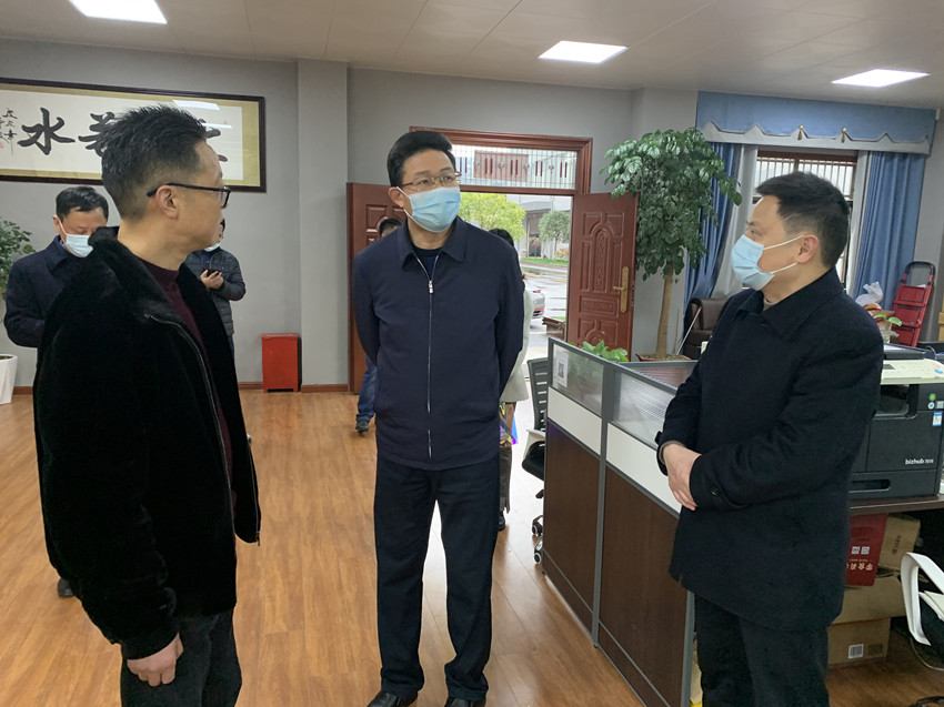 杨林来桐调研1.jpg