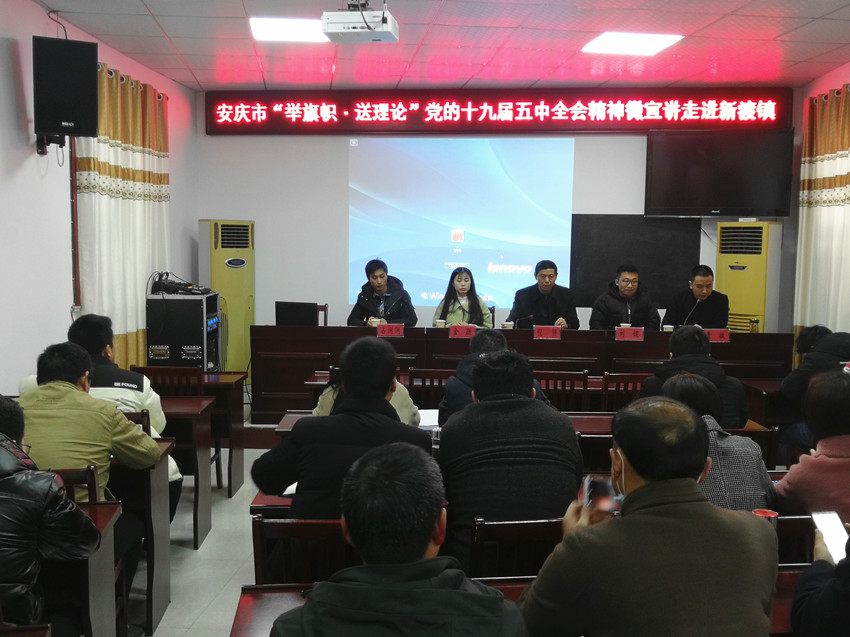 安庆市“举旗帜 送理论”党的十九届五中全会精神微宣讲走进新渡镇2.jpg