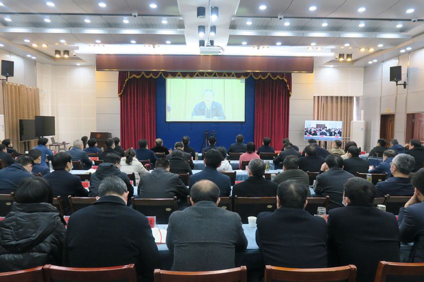 徐雄在桐出席党史学习会2.JPG