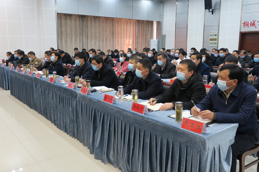 徐雄在桐出席党史学习会.JPG