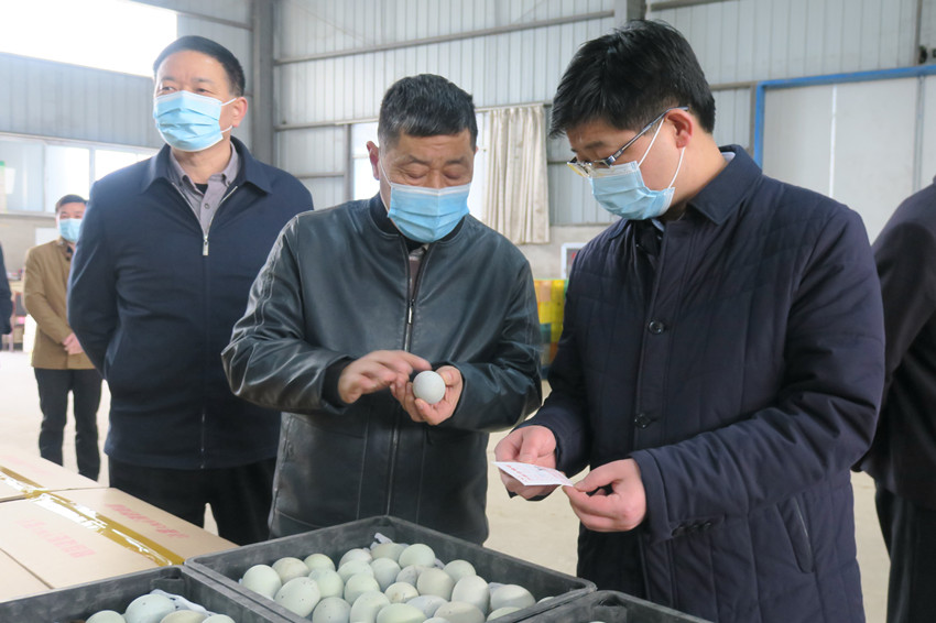 徐雄到双龙农牧.JPG