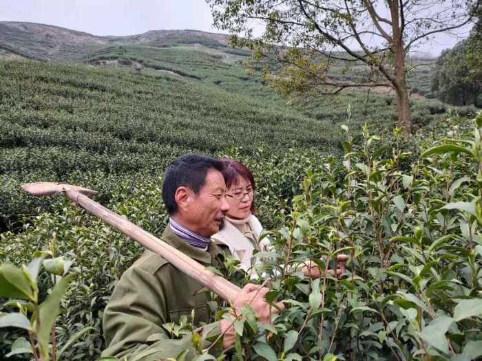 å¾ç1.png