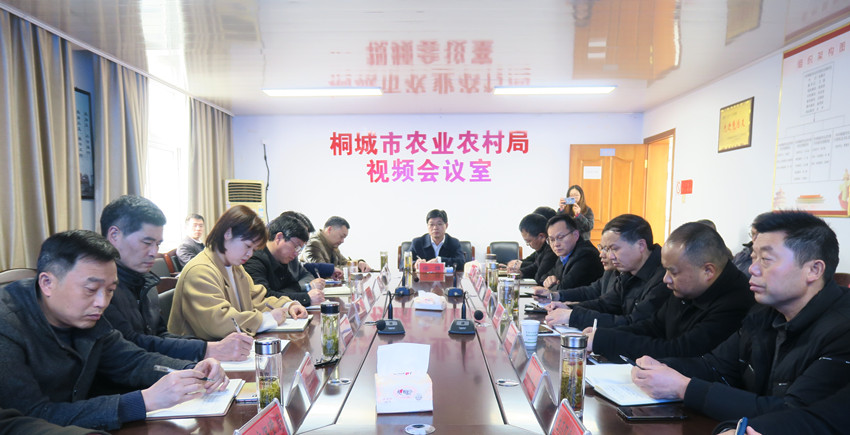 徐雄出席全省禁捕退捕电视电话会.JPG