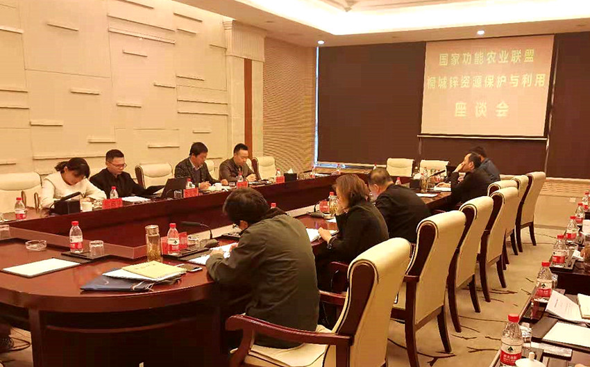 国家功能农业科技创新联盟来桐考察锌功能农业产业_副本.jpg
