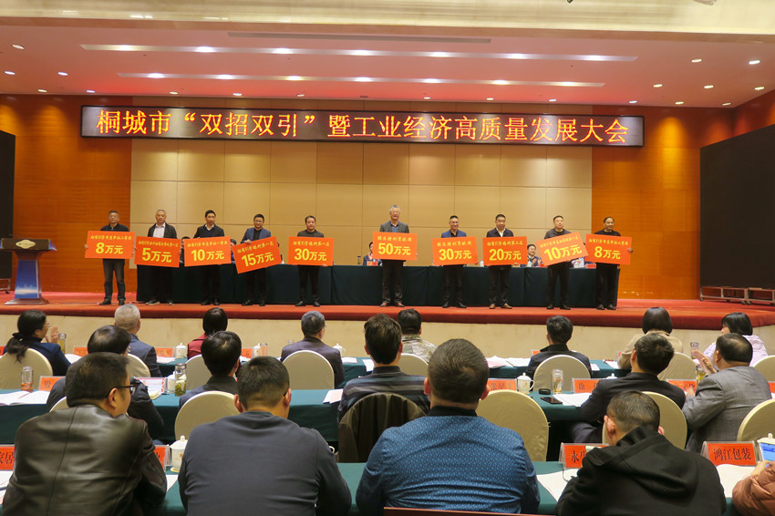 全市“双招双引”暨工业经济高质量发展大会召开6表彰1(1).JPG