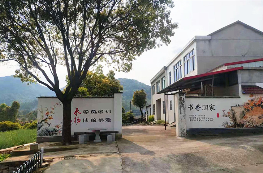 大关镇：做好“四篇文章” 焕发乡村新活力3.jpg