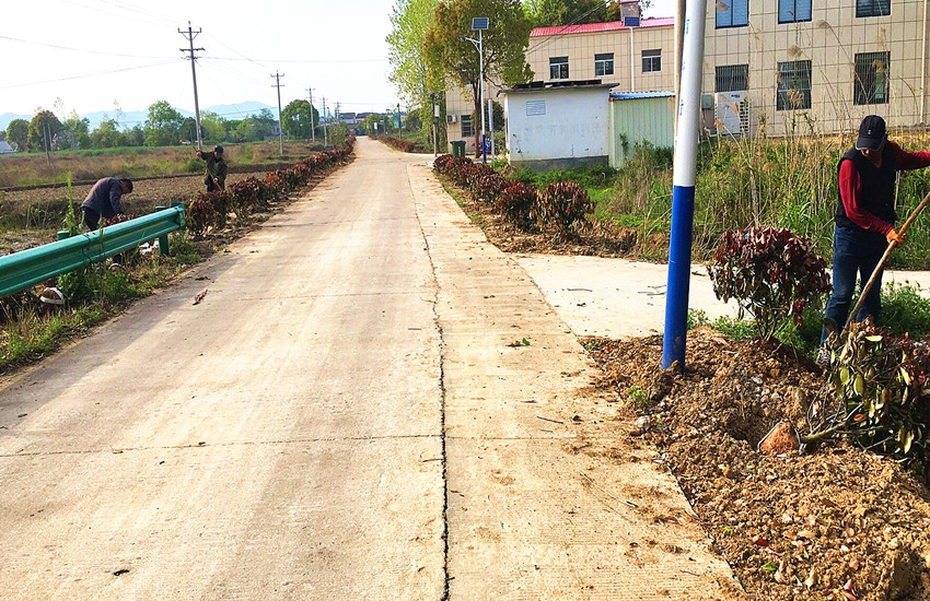大关镇甑山村：绿化村居 美化家园1.jpg