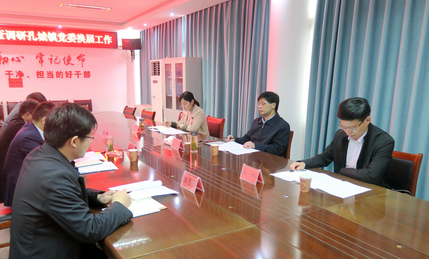 徐雄率队督导镇党委换届1在孔城镇召开座谈会.JPG