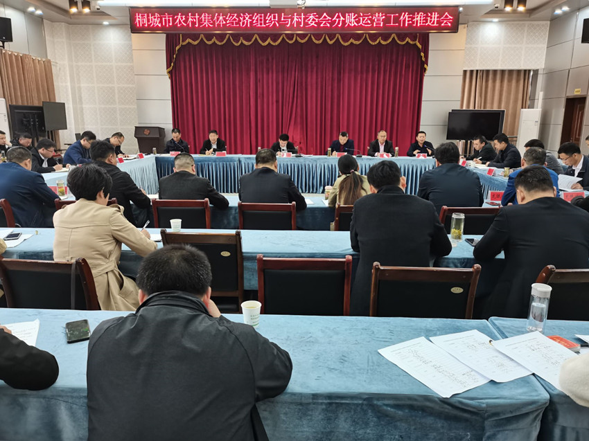 桐城市农村集体经济组织与村委会分账运营工作推进会召开.jpg