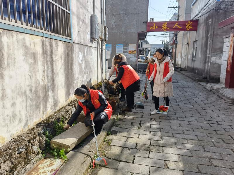 龙眠街道东关社区切实加强病媒生物防制工作筑牢居民健康防线 (4).jpg