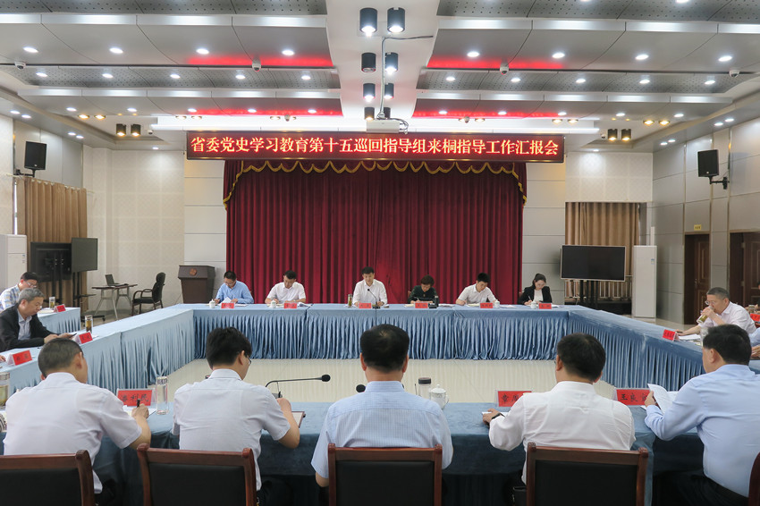 2省委指导组来桐.JPG