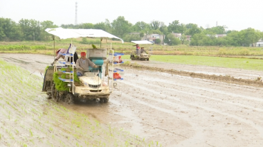 桐城：力推水稻侧深施肥技术 促进农业节本增效
