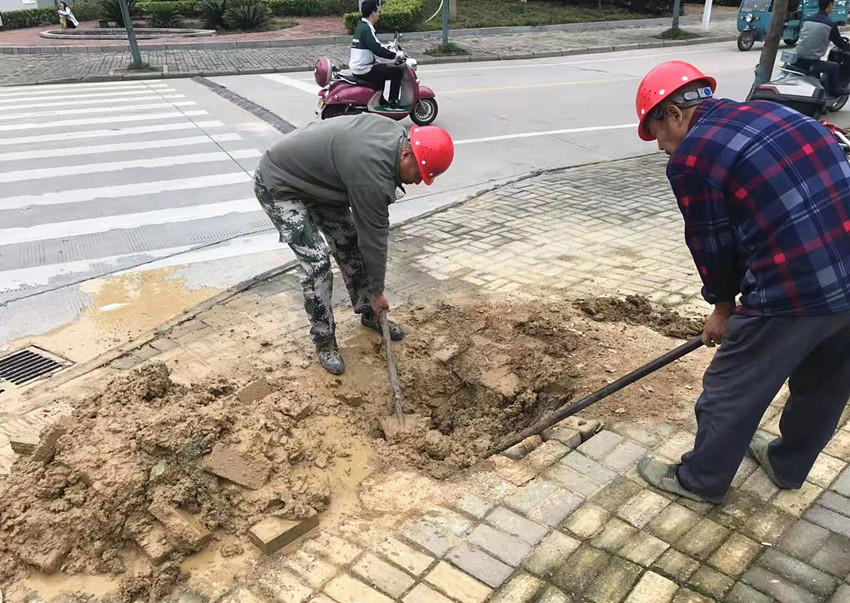 微信图片_20210521174239.jpg