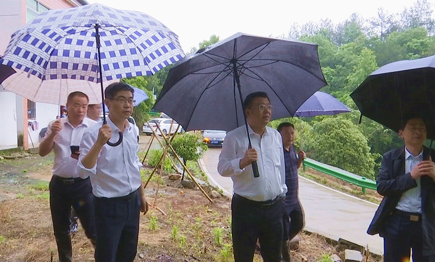 市长检查灾害点4.jpg