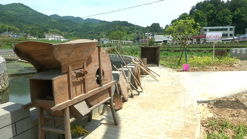 插秧节--传统农具展示.jpg