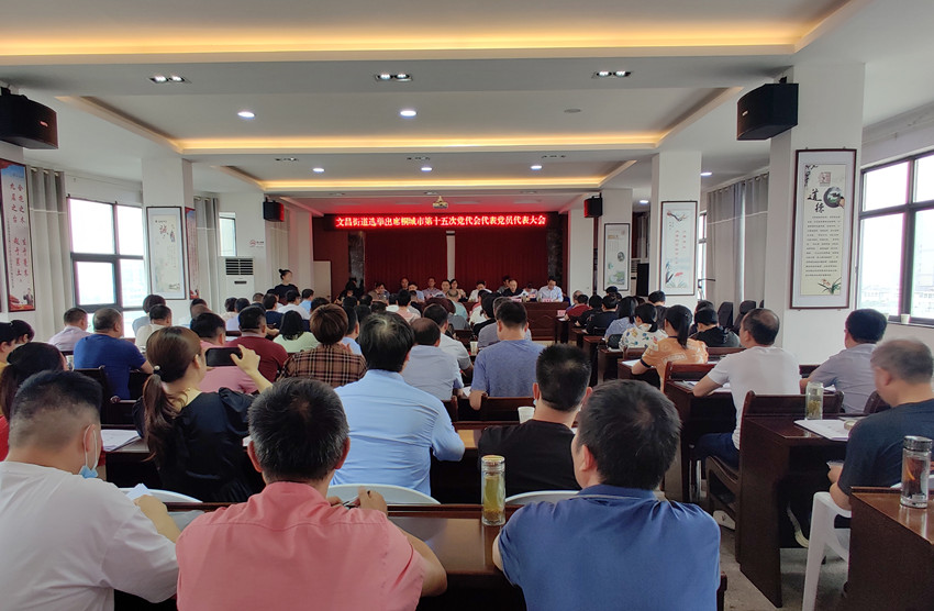 文昌党代会2.jpg