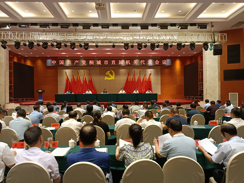 中国共产党桐城市直属机关代表会议 (2).jpg