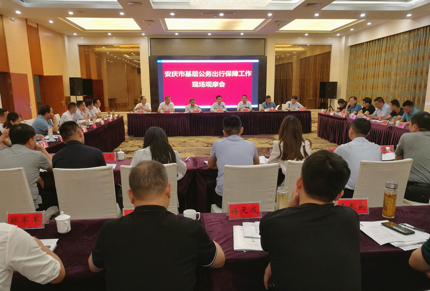 安庆市基层公务出行保障工作现场观摩会在桐召开3.jpg