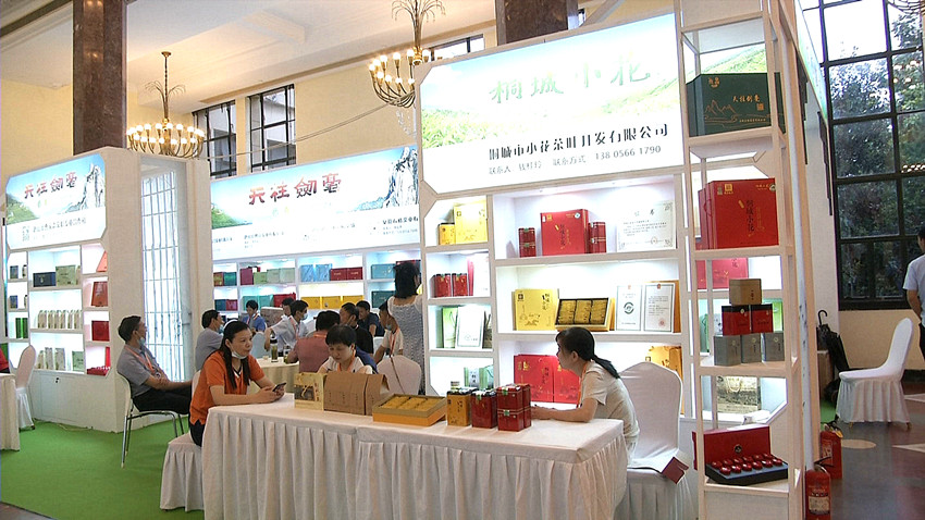 上海茶博会.jpg